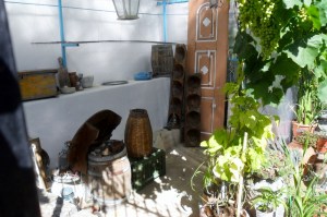 sea princess 2013-06-23  Lesvos Greece 012 (800x533)