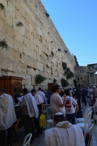 sea princess ashdod  jerusalem 077 (530x800)