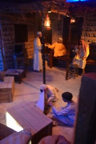 sea princess dubia 037 (530x800)