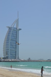 sea princess dubia 079 (530x800)