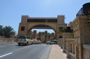 sea princess dubia 085 (800x530)