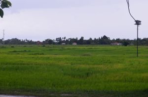 sea princess langkawi 008
