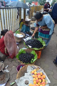 sea princess mumbai 040 (530x800)