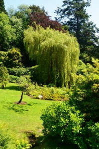 Sea Princess Dublin Ireland 033 (530x800)