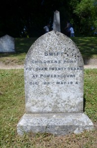 Sea Princess Dublin Ireland 041 (524x800)