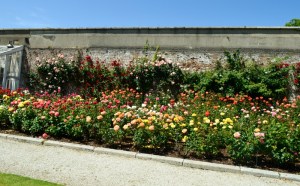 Sea Princess Dublin Ireland 062 (800x497)