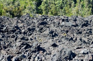Stark landscape from where lava destroyed vegetation