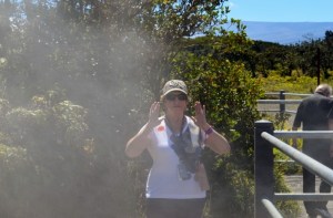 Is there enough steam for a facial, I wonder?