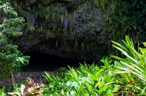 Fern Grotto