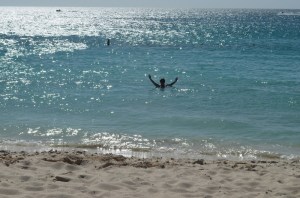 The highlight of my day in Aruba