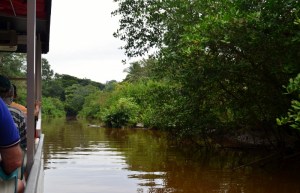 Sea Princess Costa Rica 034 (800x516)
