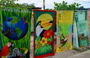 Sea Princess Costa Rica 117 (800x530)