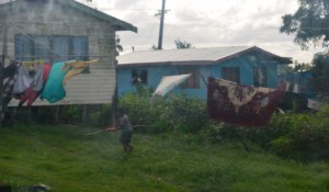 Sea Princess FIJI (Suva) 019 (800x469)