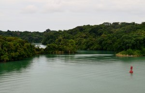View from our balcony as we make our way through the canal