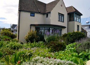 Sea Princess Aukland NZ 046 (800x530)