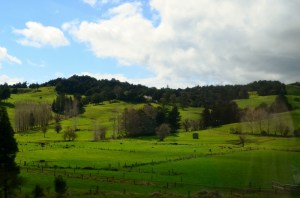 sea princess (bay of Ils) NZ 063 (800x530)