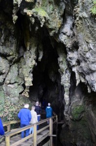 Entering the glow worm caves