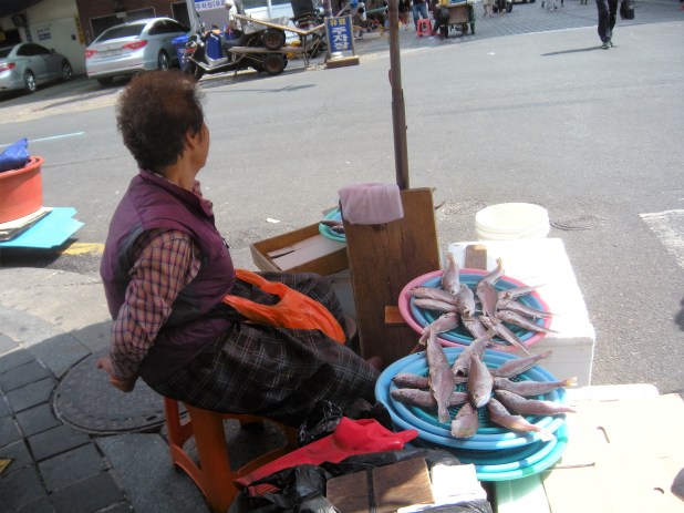 jagalchi-fish-market-busan-4