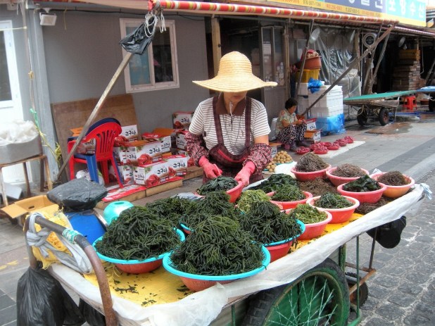jagalchi-fish-market-busan-5
