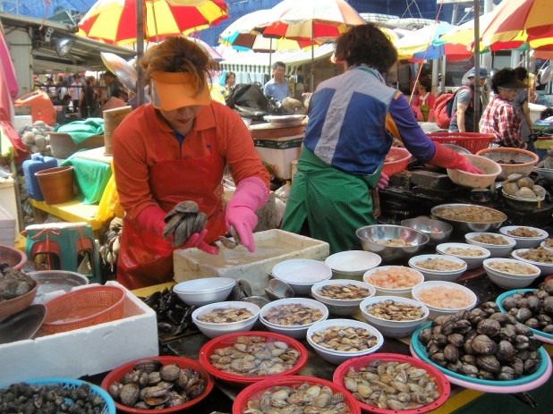 jagalchi-fish-market-busan-8