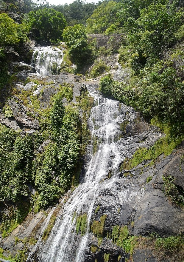 kuranda-railway-cairns-4