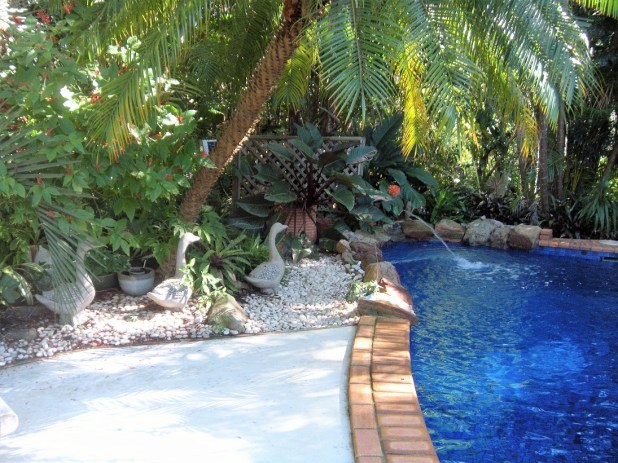 Open Garden Viola's Patch (2)