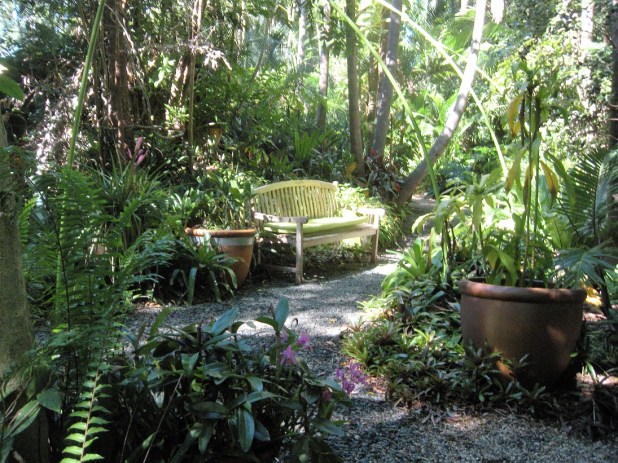 Open Garden Viola's Patch (4)