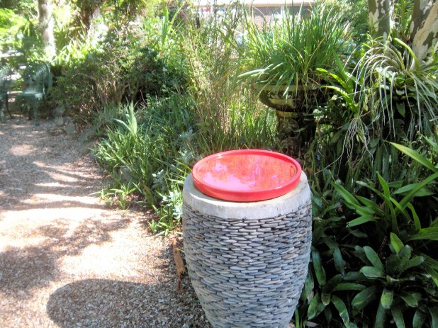 Open Garden Viola's Patch (9)